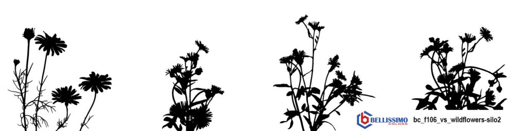 Wildflower silhouette