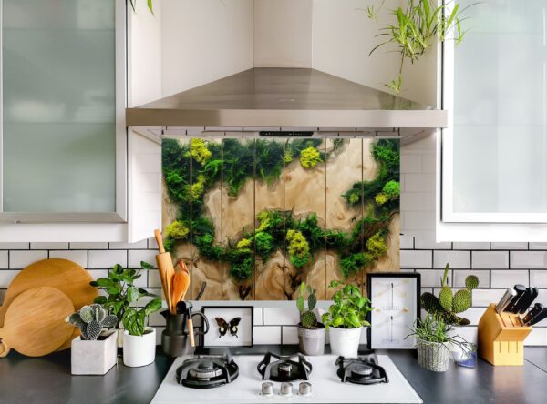 Top-Down View Of Artistic Wood Panel With Moss And Ferns - Image 5