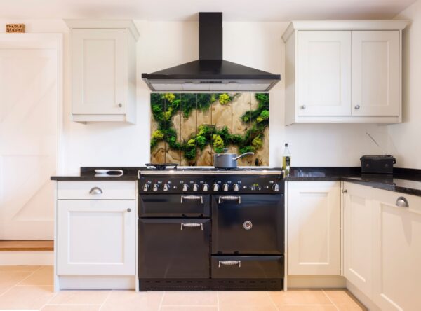 Top-Down View Of Artistic Wood Panel With Moss And Ferns - Image 4