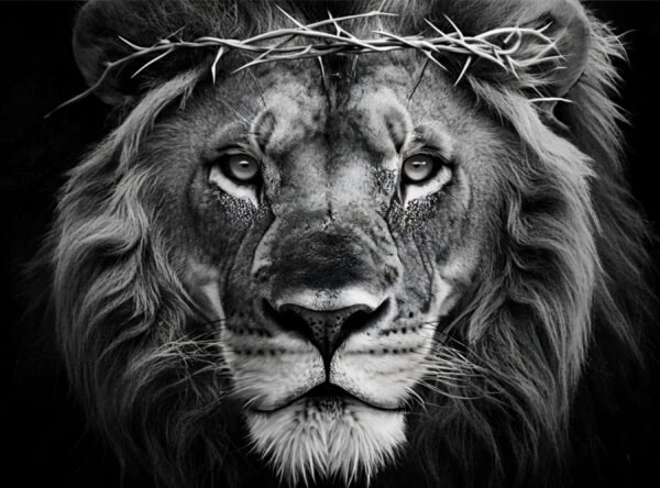 Close-Up Of Lion_s Face With Intense Gaze And Thorns - Image 11