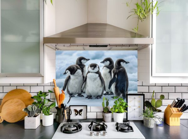 Five Baby Penguins Playfully Stand On Snowy Ice - Image 9