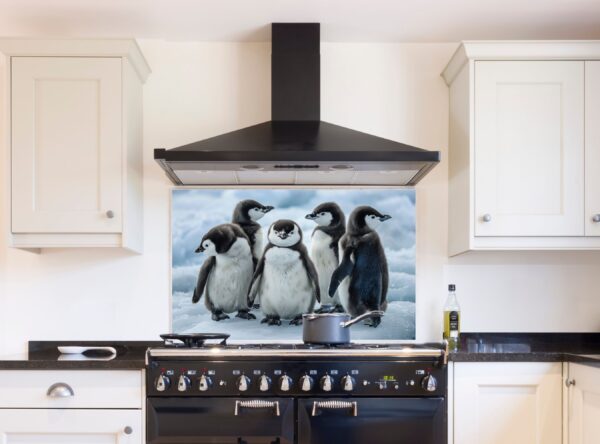 Five Baby Penguins Playfully Stand On Snowy Ice - Image 8