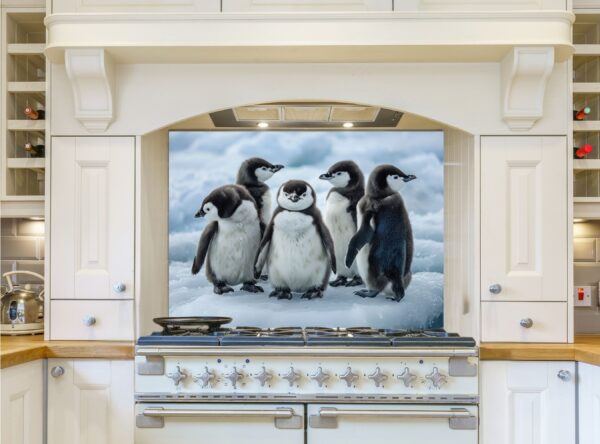 Five Baby Penguins Playfully Stand On Snowy Ice - Image 7