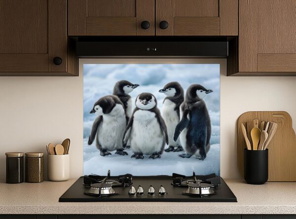 Five Baby Penguins Playfully Stand On Snowy Ice - Image 5