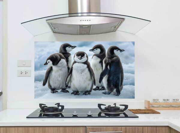 Five Baby Penguins Playfully Stand On Snowy Ice